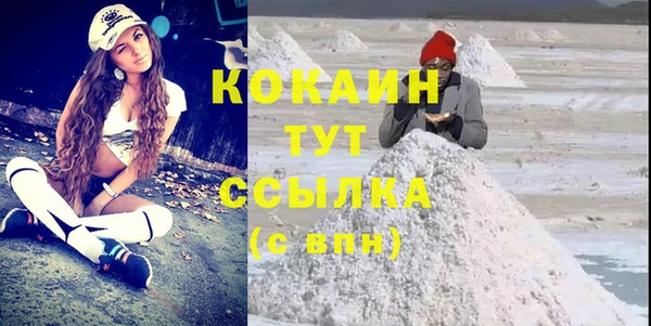 молекула духа Арсеньев