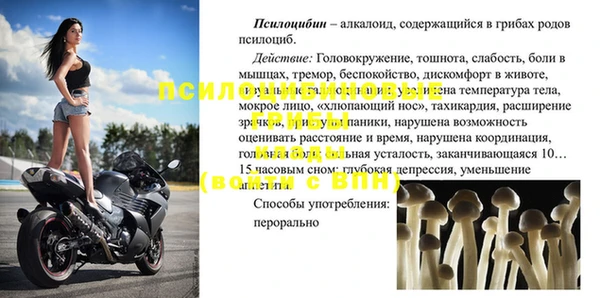 молекула духа Арсеньев